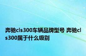 奔驰cls300车辆品牌型号 奔驰cls300属于什么级别