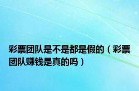 彩票团队是不是都是假的（彩票团队赚钱是真的吗）