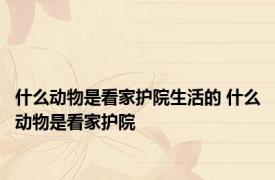 什么动物是看家护院生活的 什么动物是看家护院