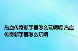 热血传奇新手要怎么玩啊呢 热血传奇新手要怎么玩啊