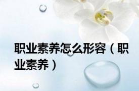 职业素养怎么形容（职业素养）