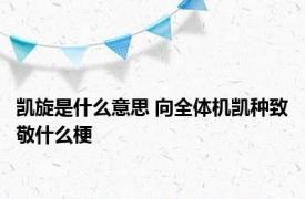 凯旋是什么意思 向全体机凯种致敬什么梗