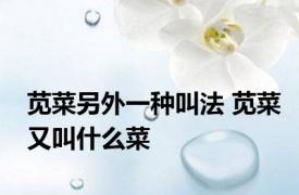 苋菜另外一种叫法 苋菜又叫什么菜