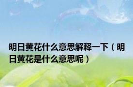 明日黄花什么意思解释一下（明日黄花是什么意思呢）
