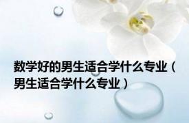 数学好的男生适合学什么专业（男生适合学什么专业）