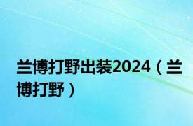 兰博打野出装2024（兰博打野）