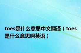 toes是什么意思中文翻译（toes是什么意思啊英语）