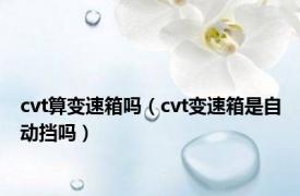 cvt算变速箱吗（cvt变速箱是自动挡吗）
