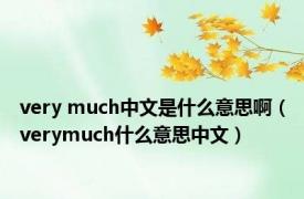very much中文是什么意思啊（verymuch什么意思中文）