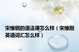 宋维钢的语法课怎么样（宋维刚英语词汇怎么样）