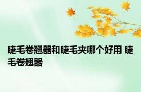 睫毛卷翘器和睫毛夹哪个好用 睫毛卷翘器 