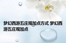 梦幻西游五庄观加点方式 梦幻西游五庄观加点 