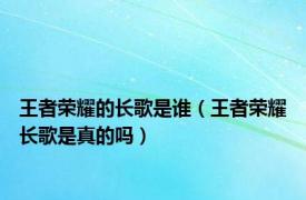 王者荣耀的长歌是谁（王者荣耀长歌是真的吗）
