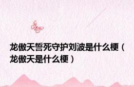 龙傲天誓死守护刘波是什么梗（龙傲天是什么梗）