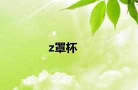 z罩杯
