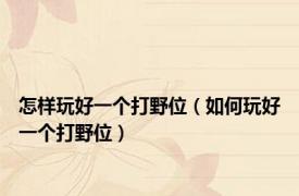 怎样玩好一个打野位（如何玩好一个打野位）