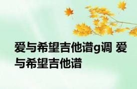 爱与希望吉他谱g调 爱与希望吉他谱 