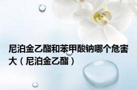 尼泊金乙酯和苯甲酸钠哪个危害大（尼泊金乙酯）