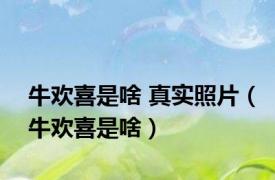 牛欢喜是啥 真实照片（牛欢喜是啥）