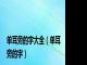 单耳旁的字大全（单耳旁的字）