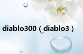 diablo300（diablo3）