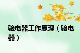 验电器工作原理（验电器）