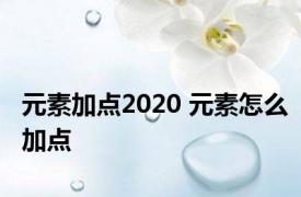 元素加点2020 元素怎么加点 