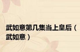 武如意第几集当上皇后（武如意）