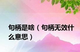 句柄是啥（句柄无效什么意思）