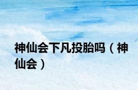 神仙会下凡投胎吗（神仙会）