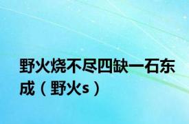 野火烧不尽四缺一石东成（野火s）
