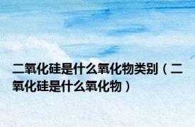 二氧化硅是什么氧化物类别（二氧化硅是什么氧化物）