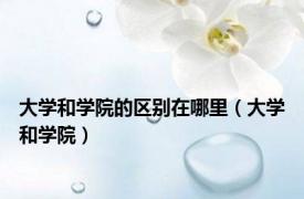 大学和学院的区别在哪里（大学和学院）