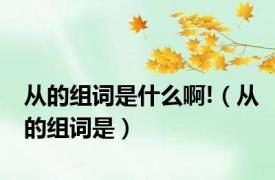 从的组词是什么啊!（从的组词是）