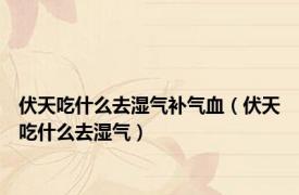 伏天吃什么去湿气补气血（伏天吃什么去湿气）
