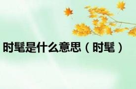时髦是什么意思（时髦）