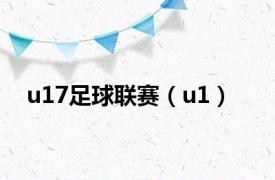 u17足球联赛（u1）