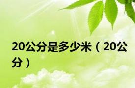 20公分是多少米（20公分）