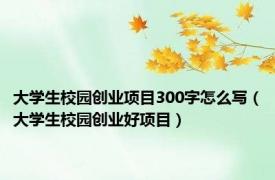 大学生校园创业项目300字怎么写（大学生校园创业好项目）