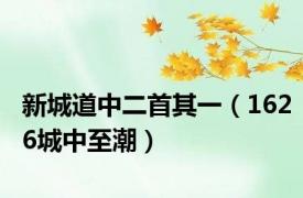 新城道中二首其一（1626城中至潮）