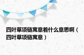 四叶草项链寓意着什么意思啊（四叶草项链寓意）