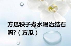 方瓜秧子煮水喝治结石吗?（方瓜）