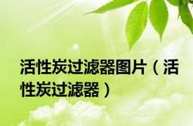 活性炭过滤器图片（活性炭过滤器）