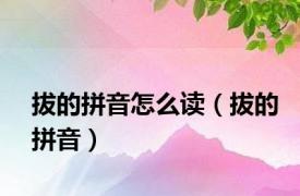 拔的拼音怎么读（拔的拼音）