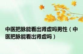 中医把脉能看出肾虚吗男性（中医把脉能看出肾虚吗）