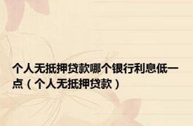 个人无抵押贷款哪个银行利息低一点（个人无抵押贷款）