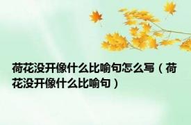 荷花没开像什么比喻句怎么写（荷花没开像什么比喻句）