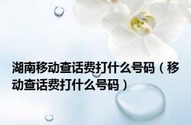 湖南移动查话费打什么号码（移动查话费打什么号码）