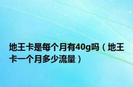地王卡是每个月有40g吗（地王卡一个月多少流量）