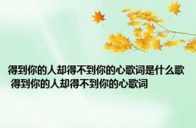 得到你的人却得不到你的心歌词是什么歌 得到你的人却得不到你的心歌词 